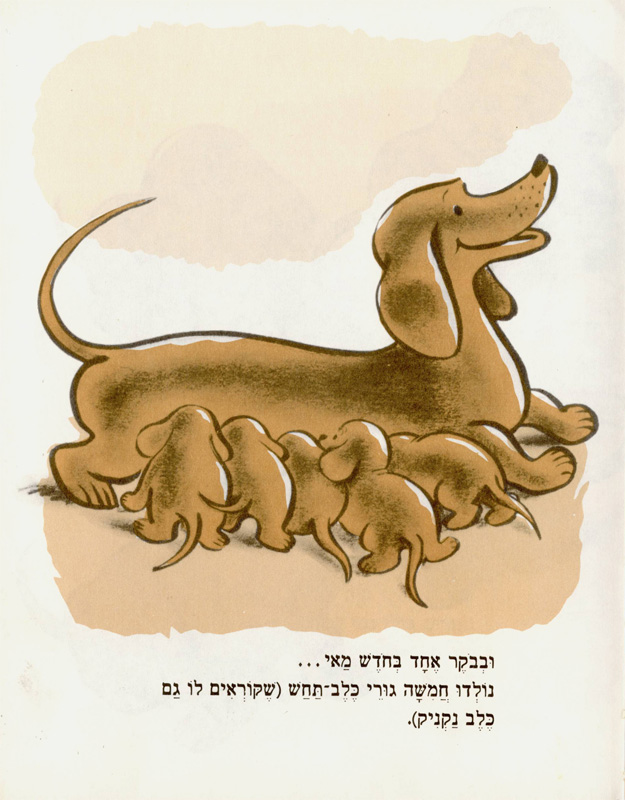 איור של ה. א. ריי מתוך "בייגלה"